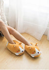 Chaussons Shiba Inu