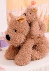 Peluche Chien Brun