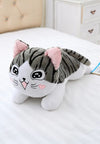 Peluche Petit chat