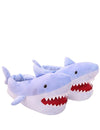 chausson requin